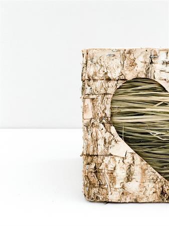 Cubo corteccia cuore verde