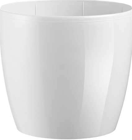 Vaso Madeira lucido colorato