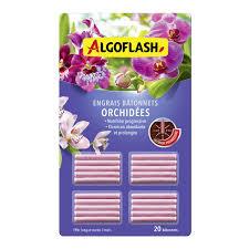Concime in bastoncini per orchidee