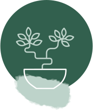 green-design-ico