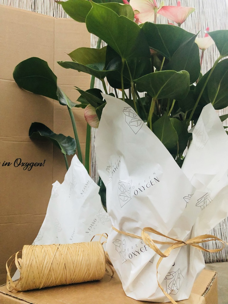 packaging-green-detail
